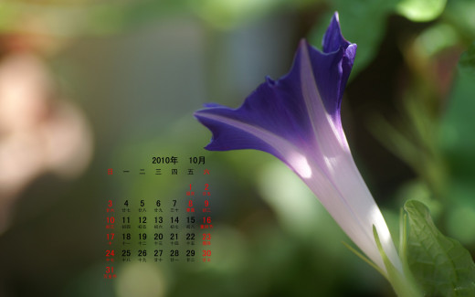 498404 (a): :1920x1200